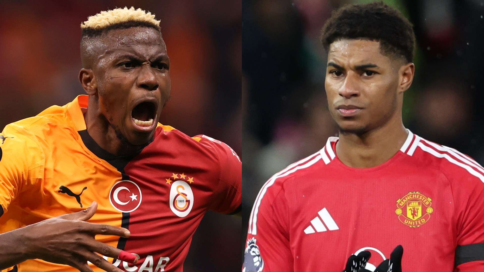 更涉及到文 更涉及到文