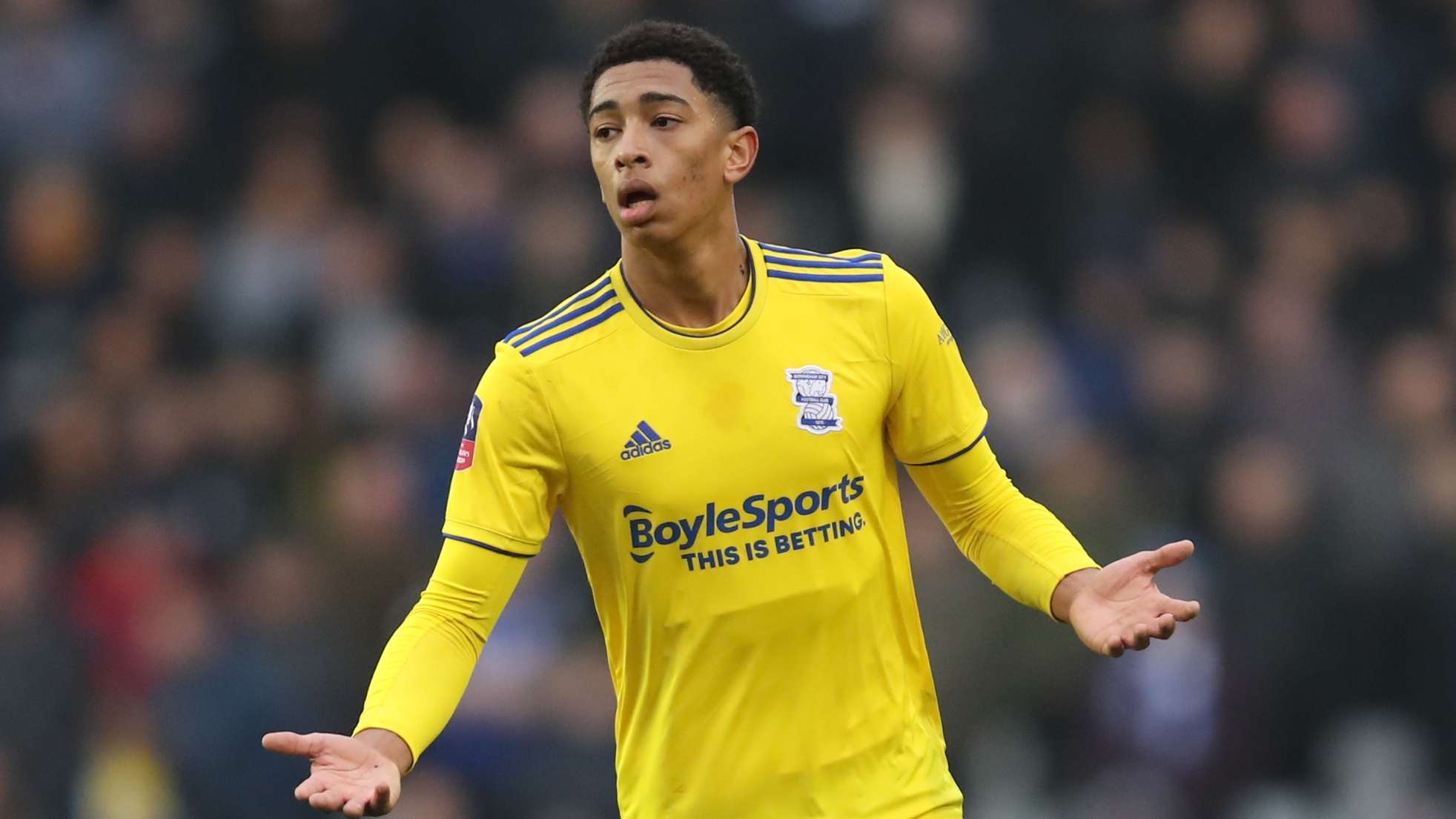 新帅的执教 新帅的执教